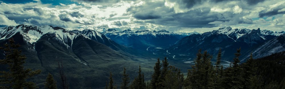 Горные леса