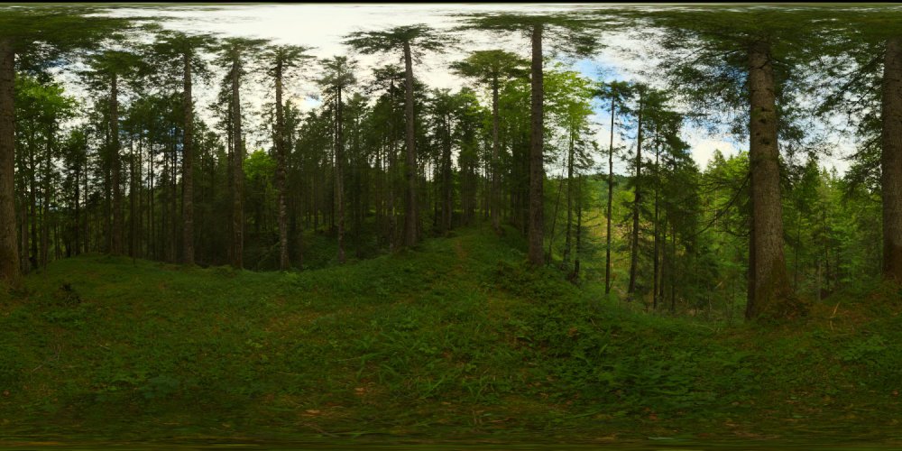 Лесная Поляна HDRI