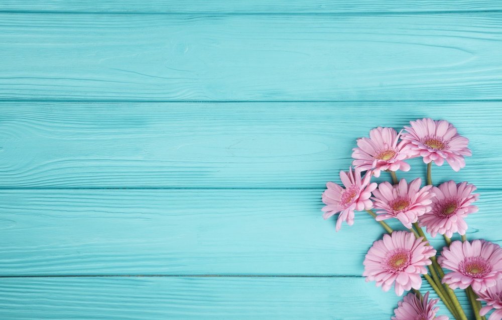 Розовые цветы на бирюзовом фоне