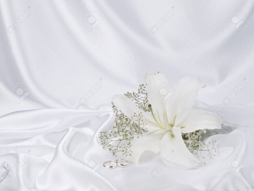 Свадебный фотофон