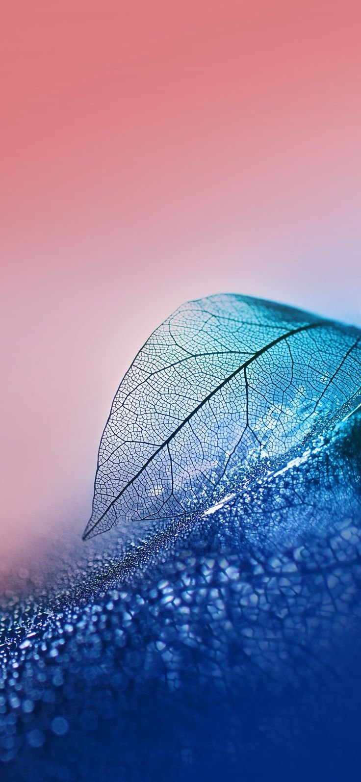 Обои на телефон Хуавей