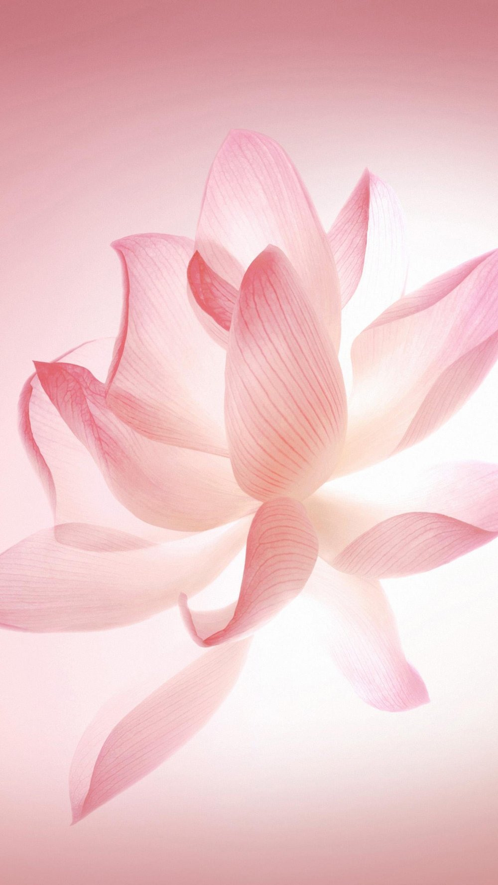 Обои Huawei MATEBOOK X Pro