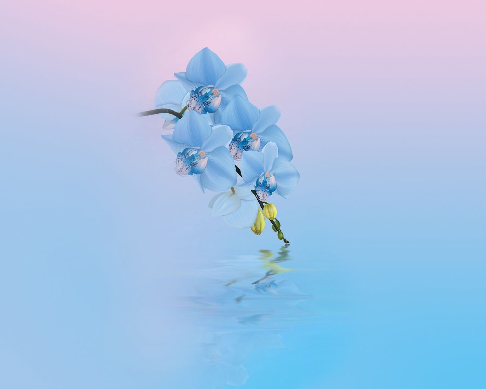 Обои Хуавей p30 Lite стандарт