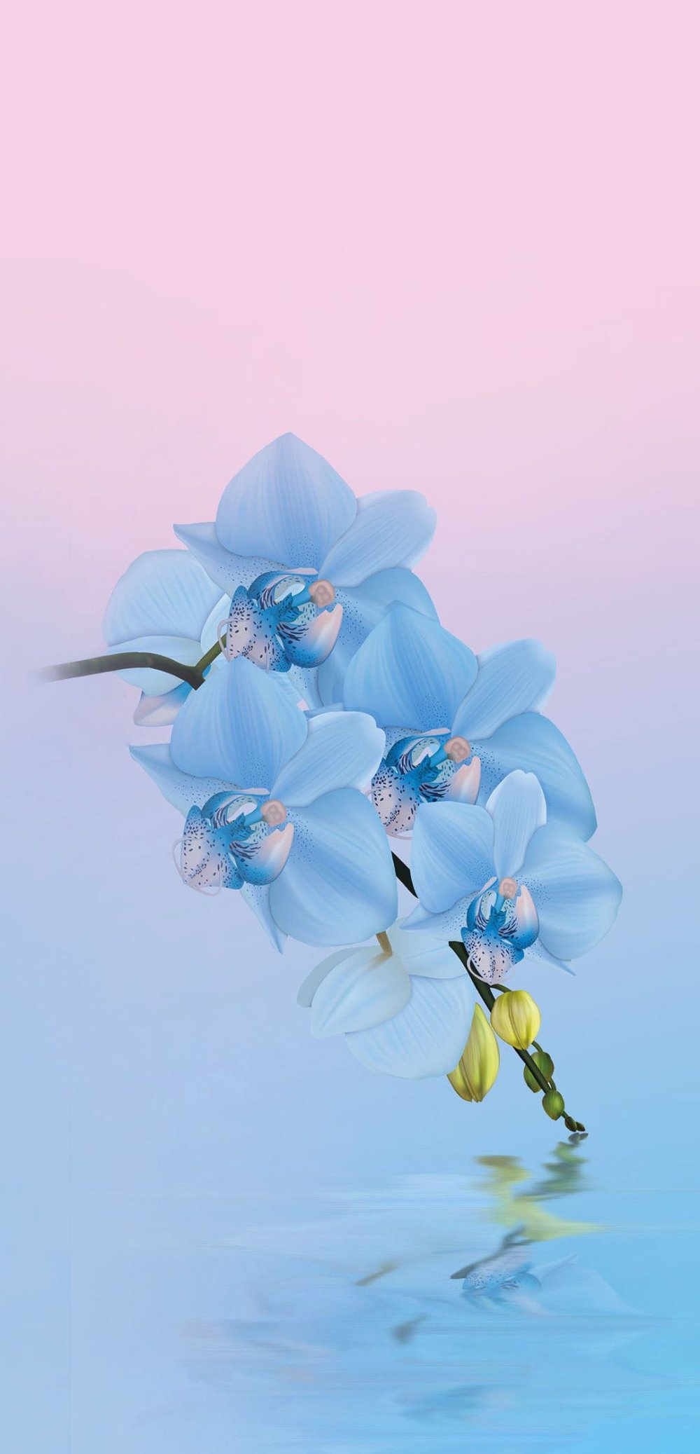 Обои Хуавей p30 Pro