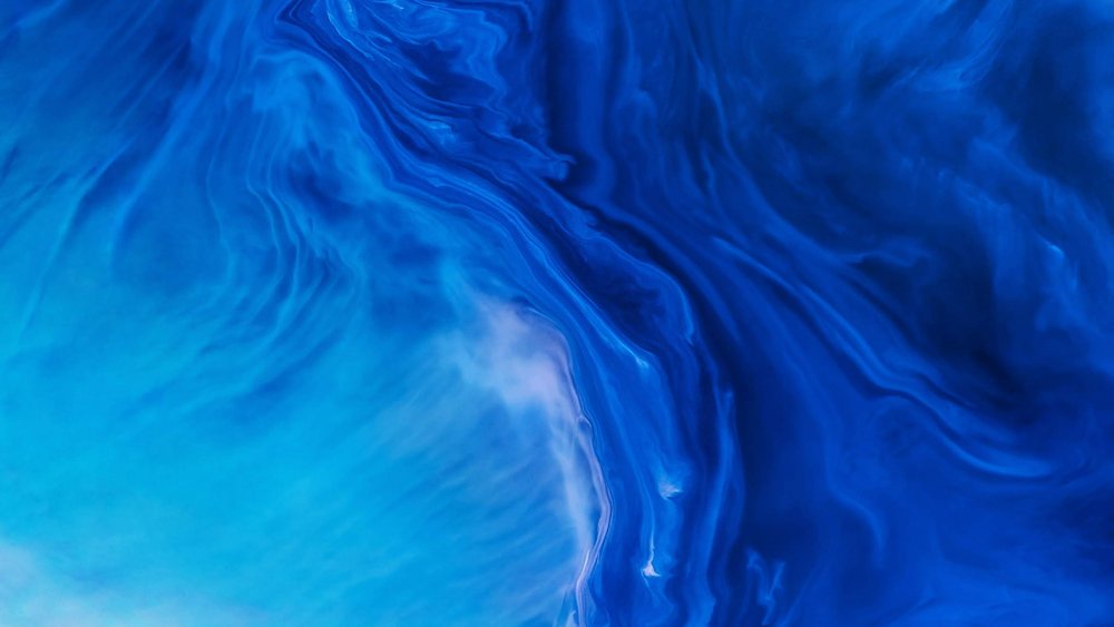 Орхидея на голубом фоне