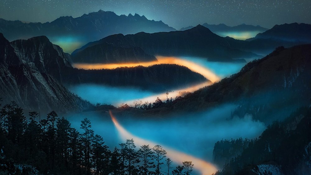 Синие цветы вертикальные