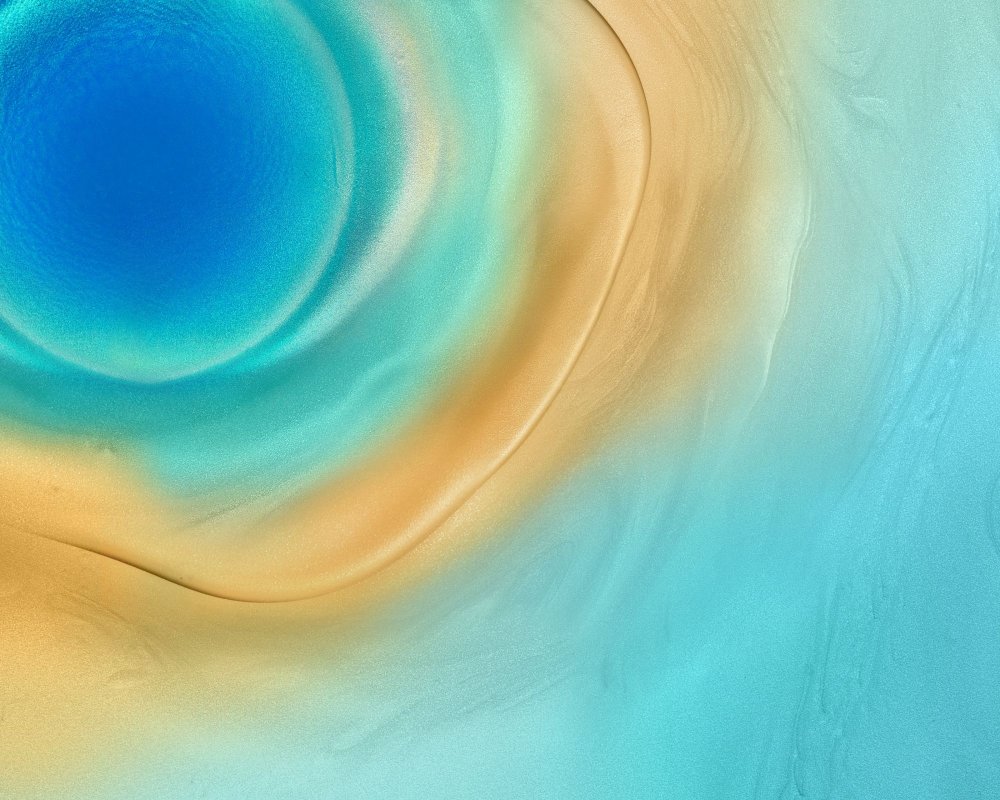 Цветы на однотонном фоне