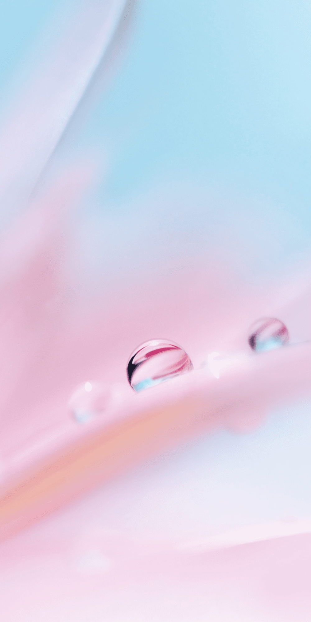 Заставки на телефон Huawei