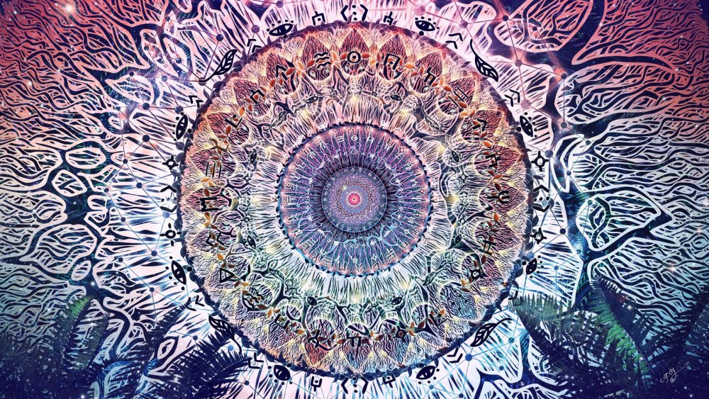 DMT молекула духа