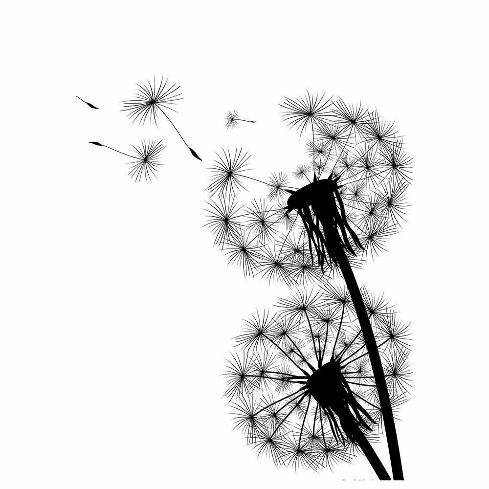 Одуванчик на белом фоне чб
