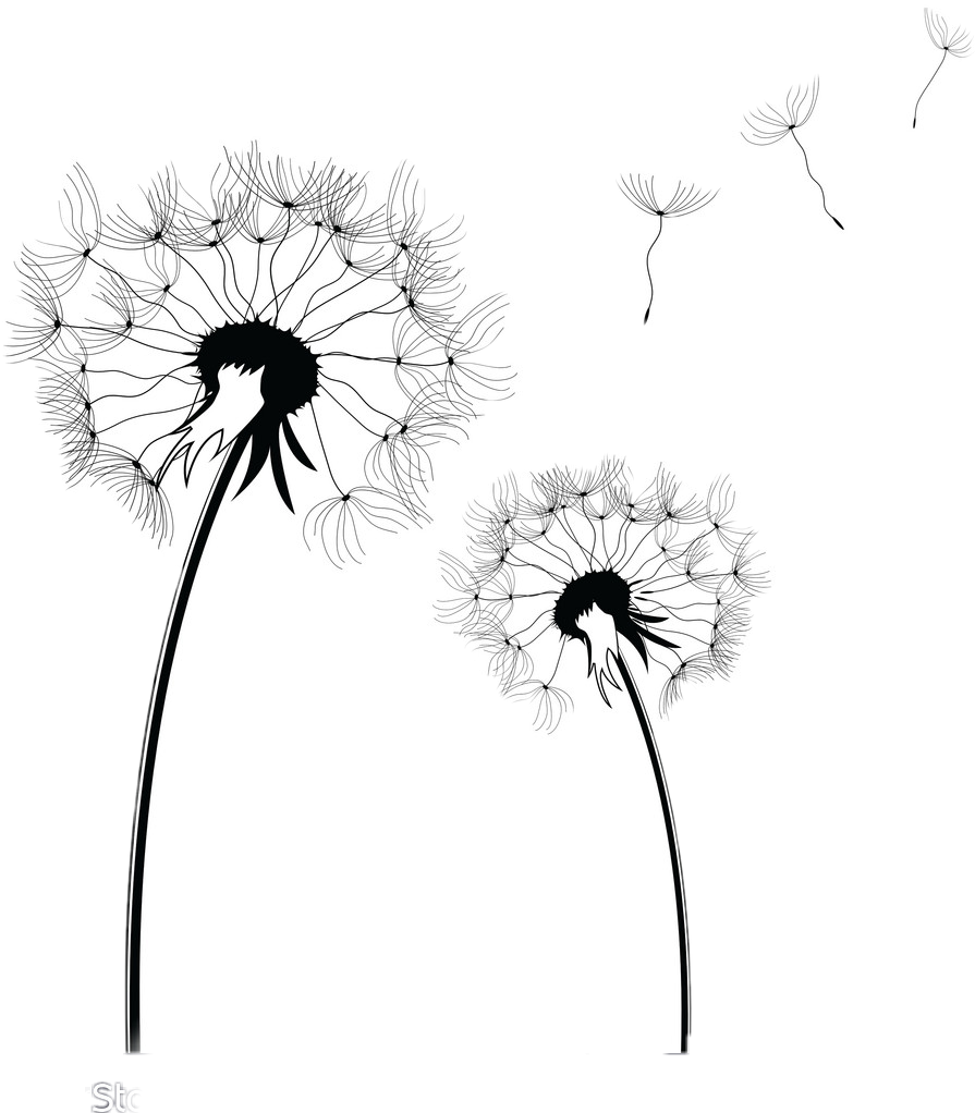 Одуванчик силуэт