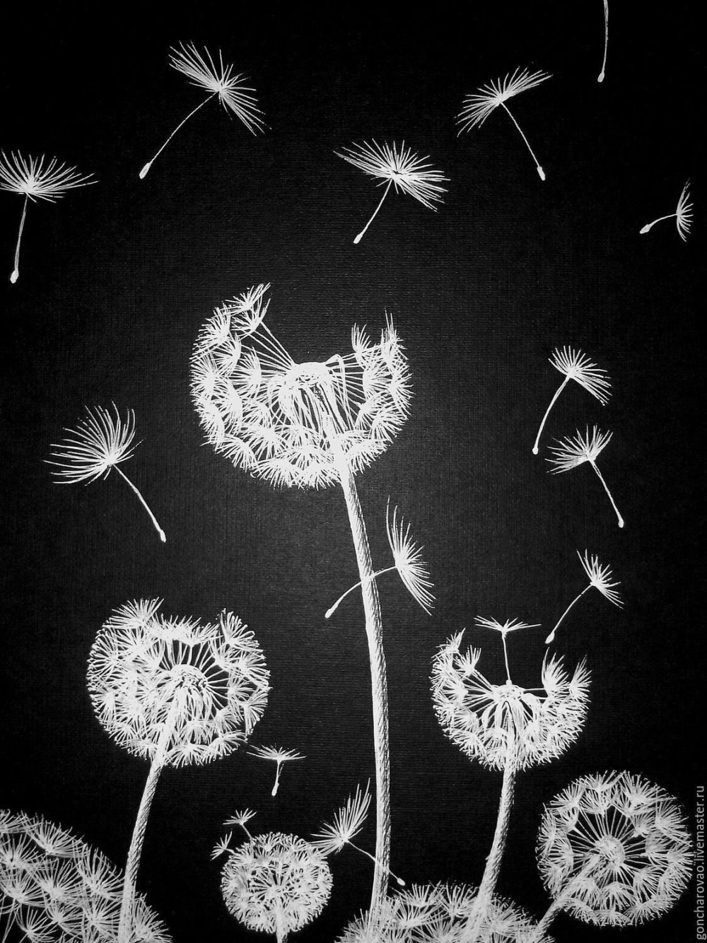 Одуванчик на черной бумаге