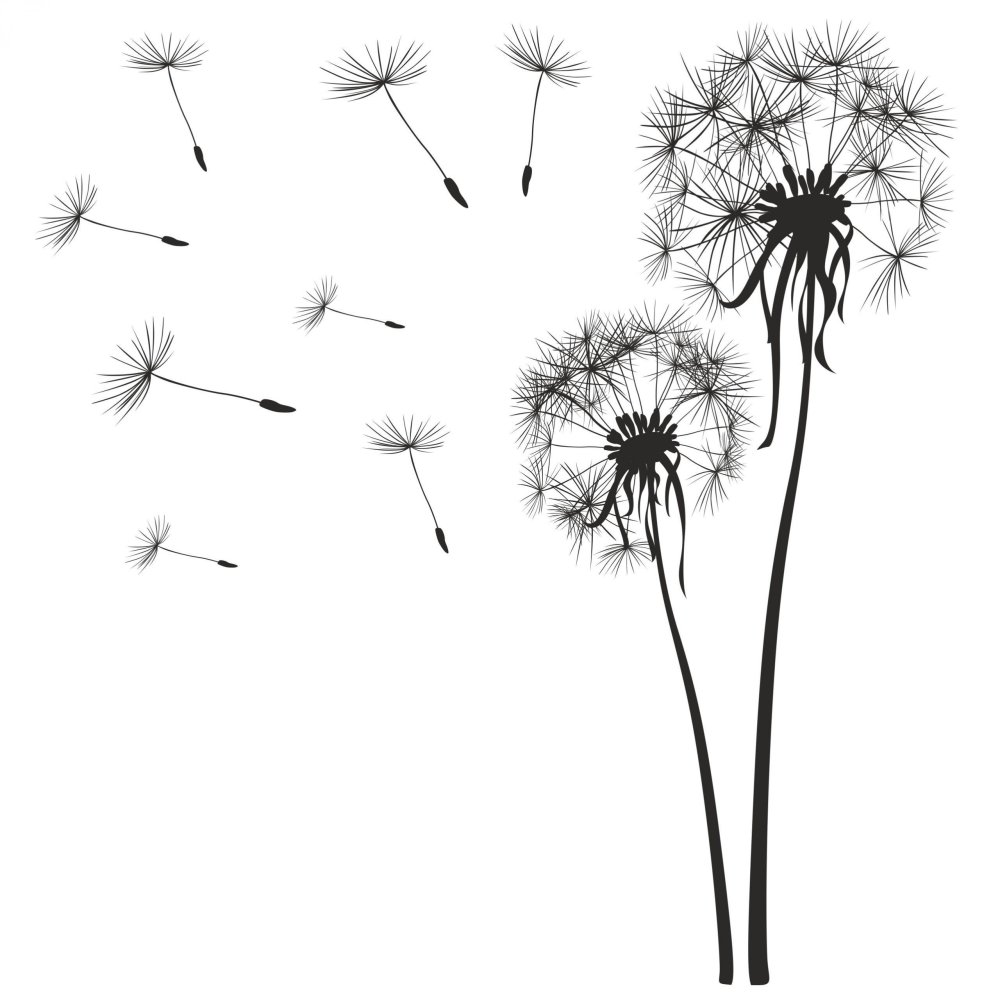 Одуванчик чб