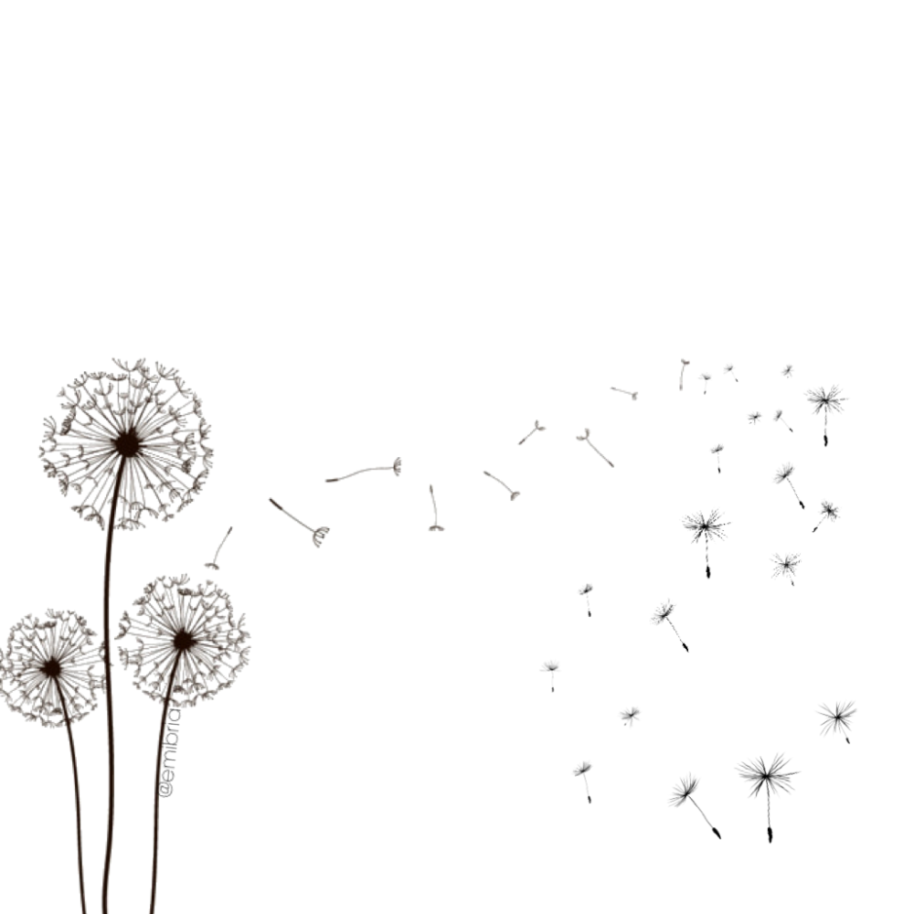 Одуванчик узор