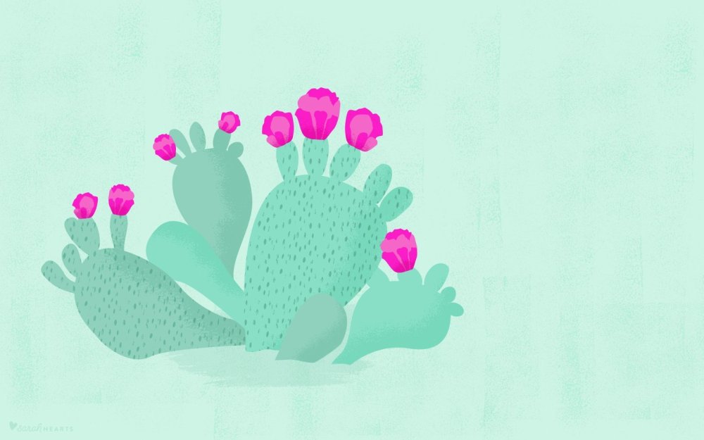 Обои с кактусами