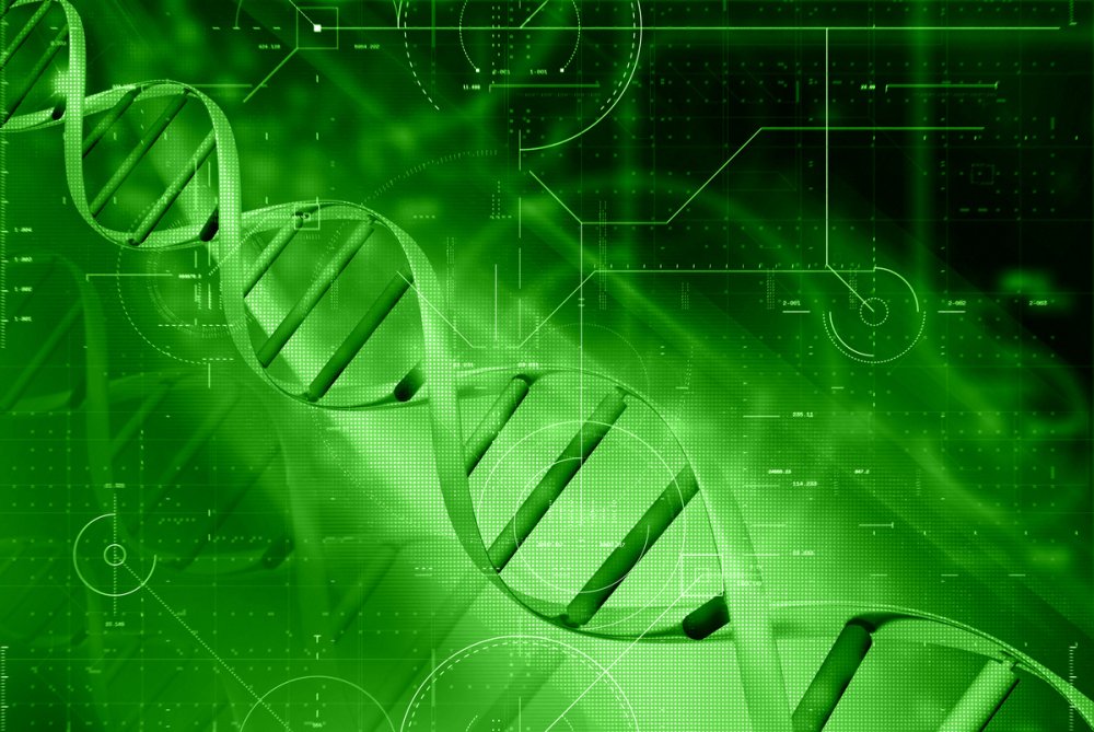 Баннер зеленая аптека