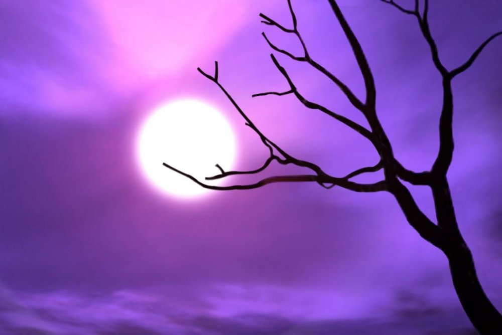 Средний пурпурный цвет