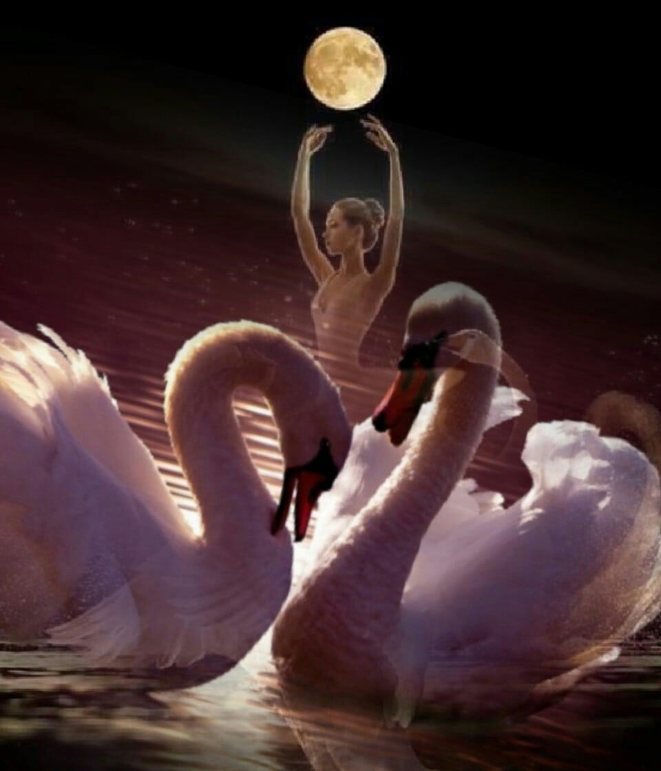 Падающий лебедь