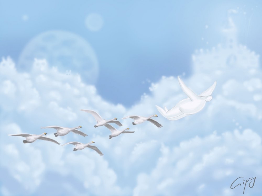 Облака в виде лебедей