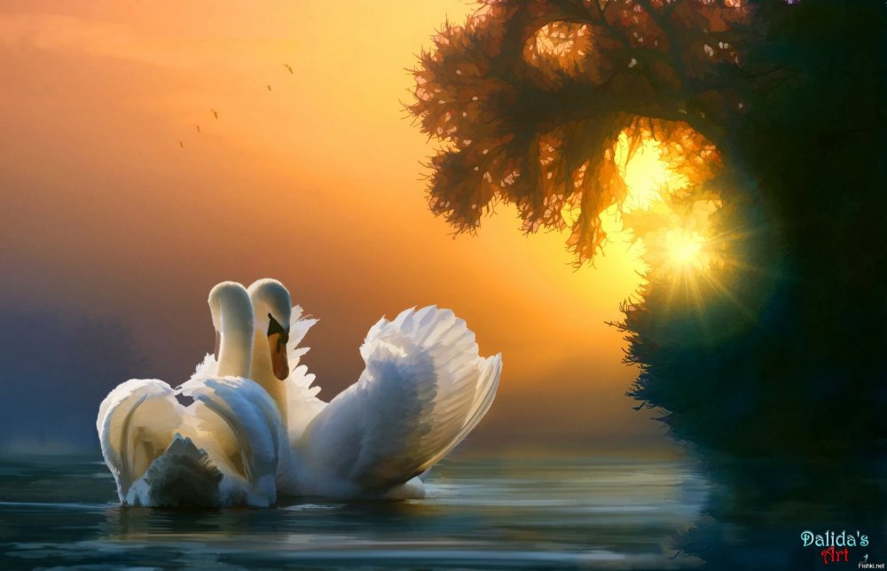 Лебедь на фоне солнца