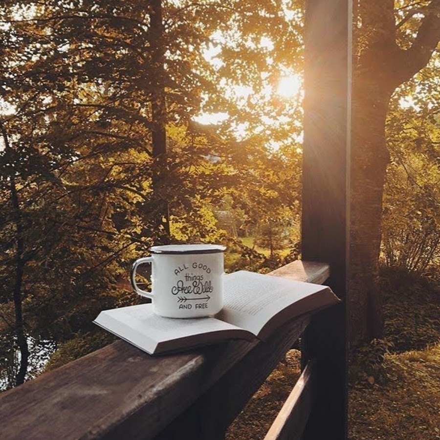 Утренний кофе в лесу