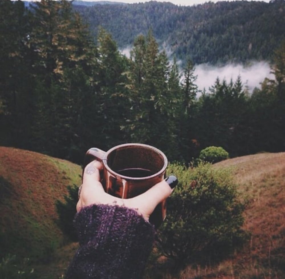 Кружка чаю на природе