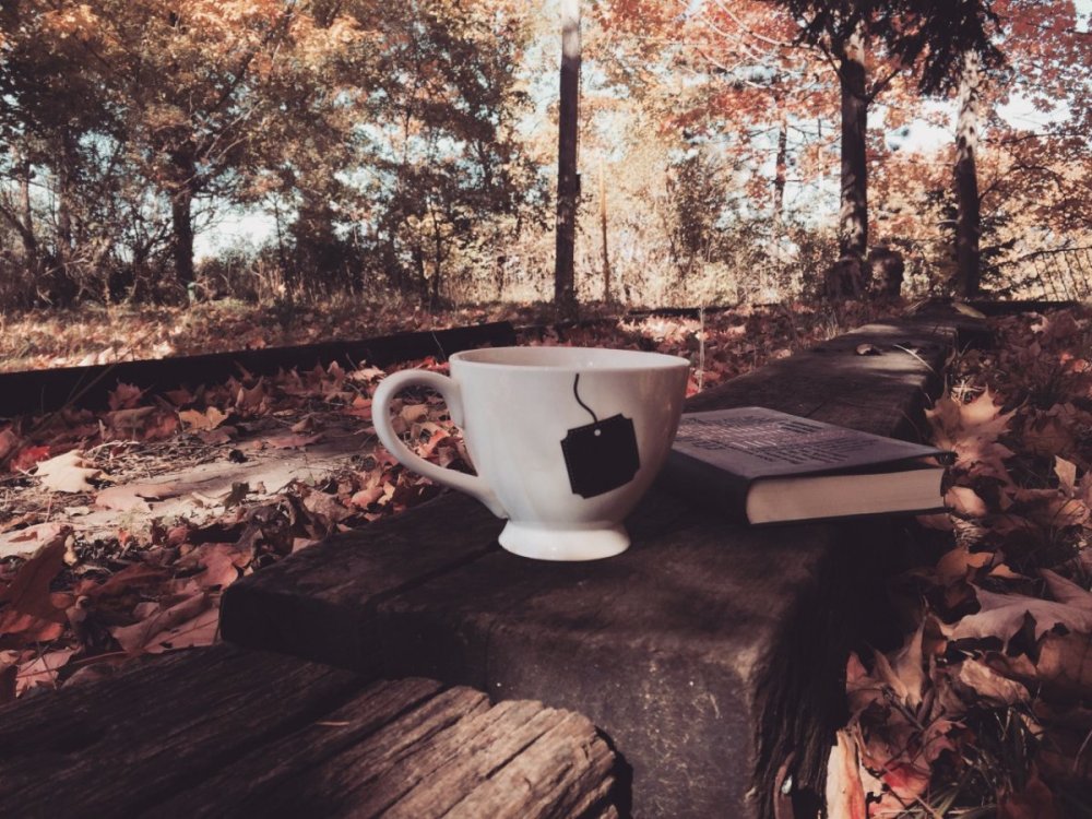 Осенний кофе природа