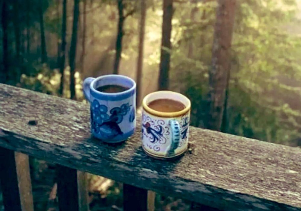 На фоне природы две чашки чая