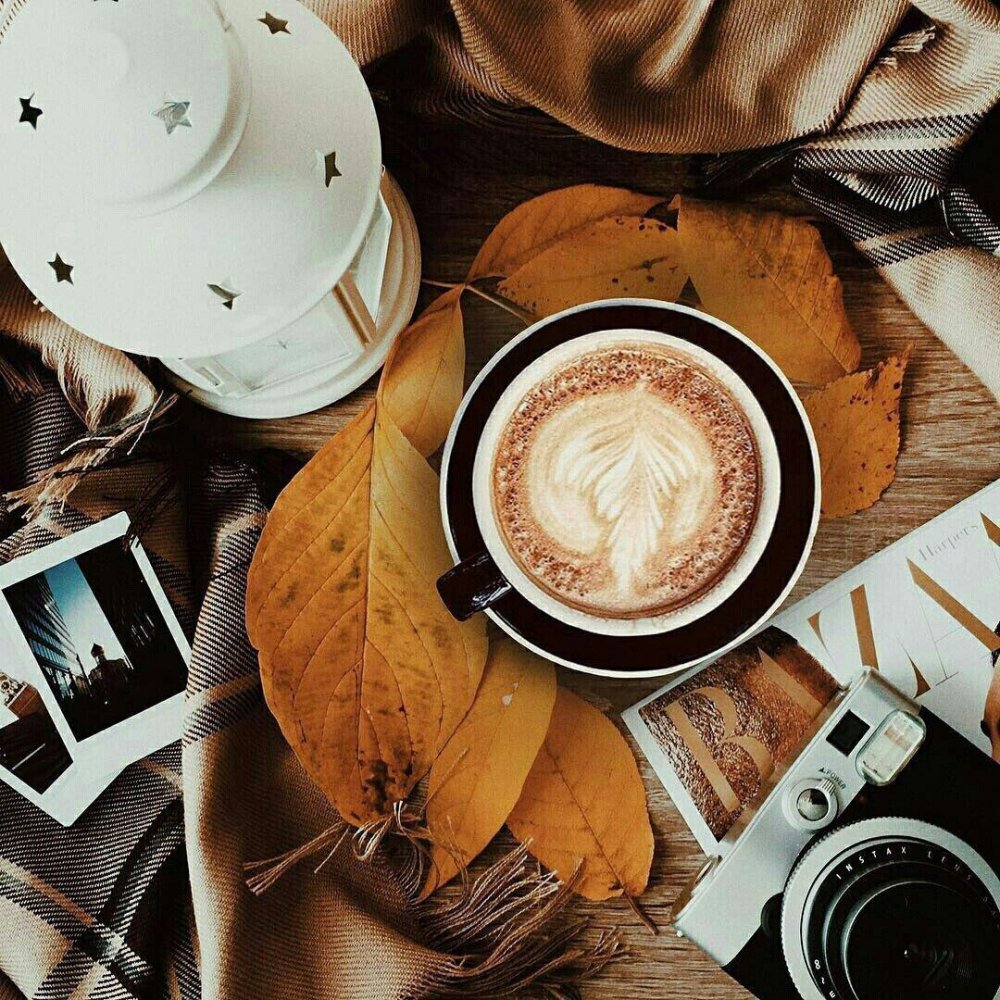 Утро осень кофейня