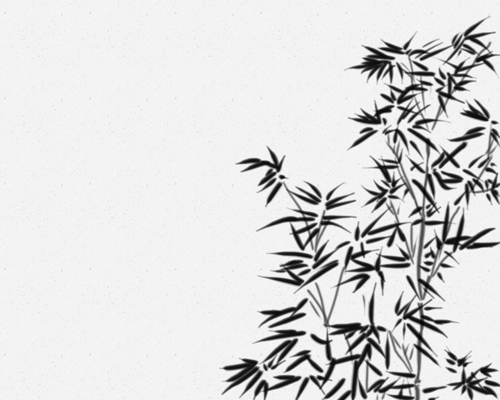 Черно белые листья бамбука