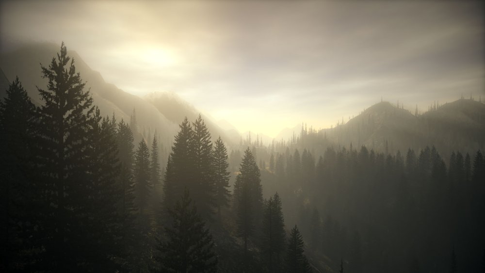 Alan Wake природа
