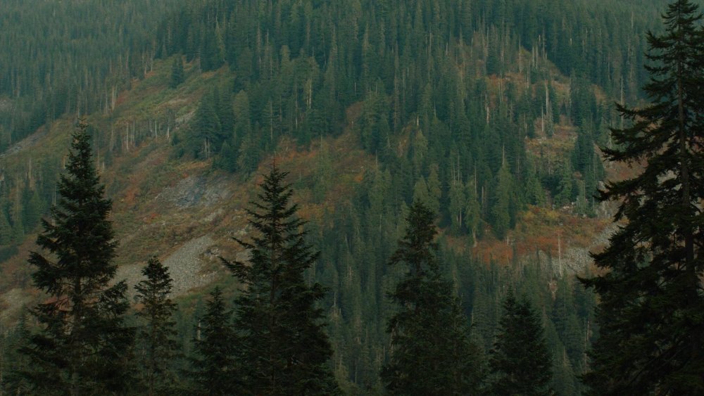 Твин пикс горы