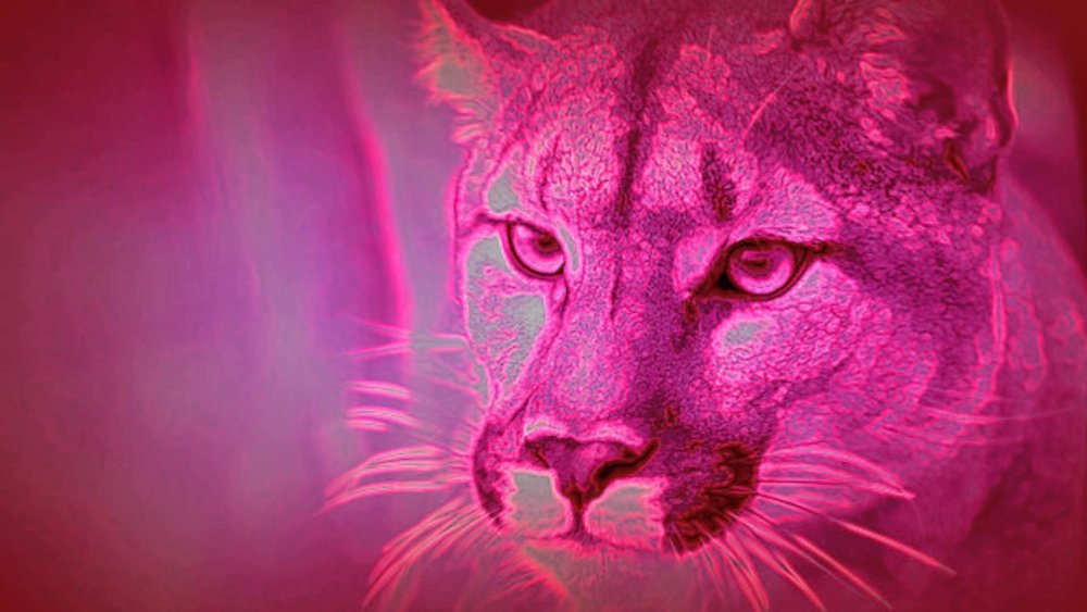 Розовая пантера