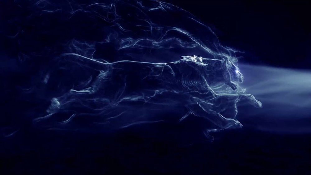 Обои на рабочий стол пантера