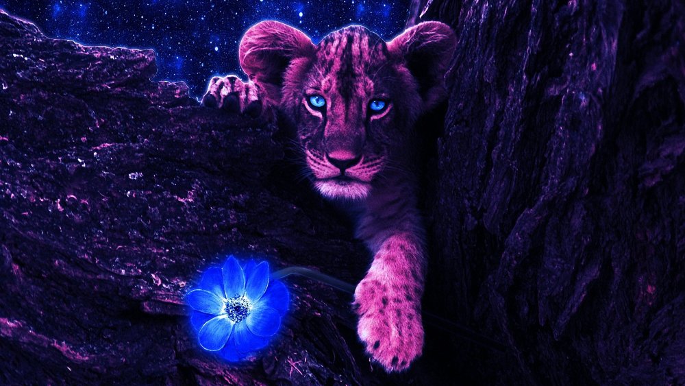 Фиолетовый тигр