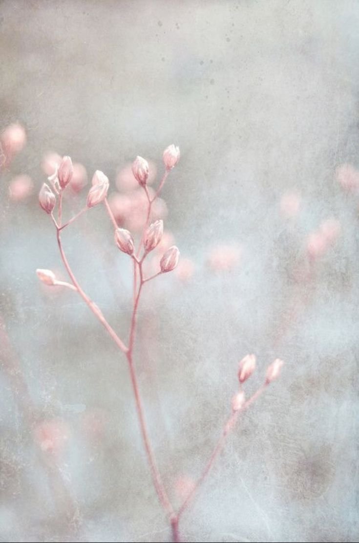 Эстетика пастельных тонов