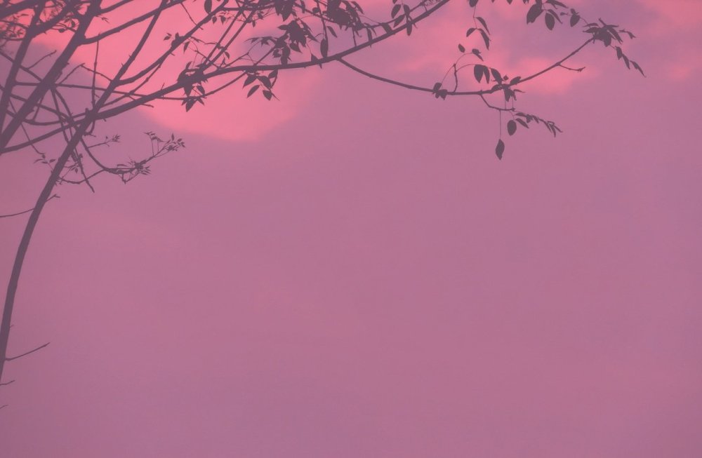 Фон Эстетика