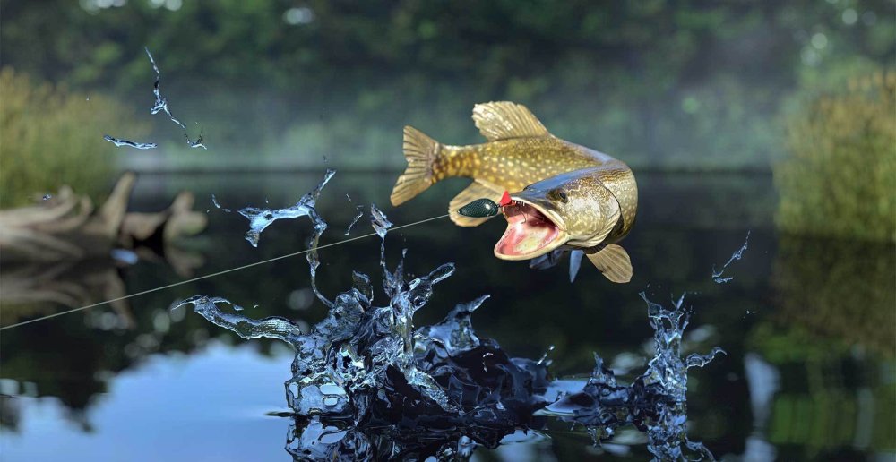 Щукожор Fishing Planet