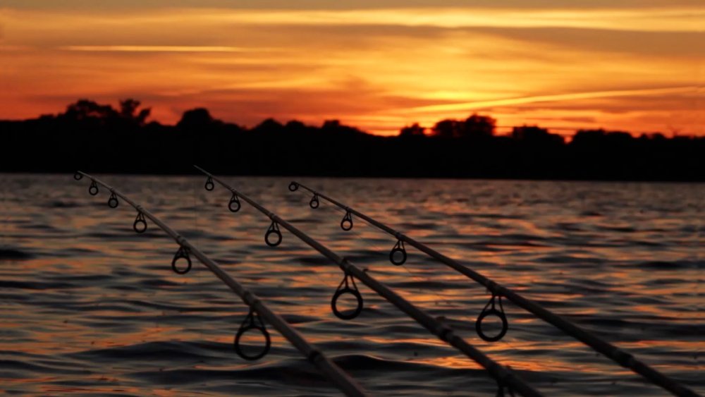 Обои на рабочий стол рыбалка