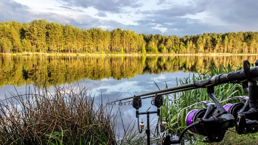 Красивая природа рыбалка