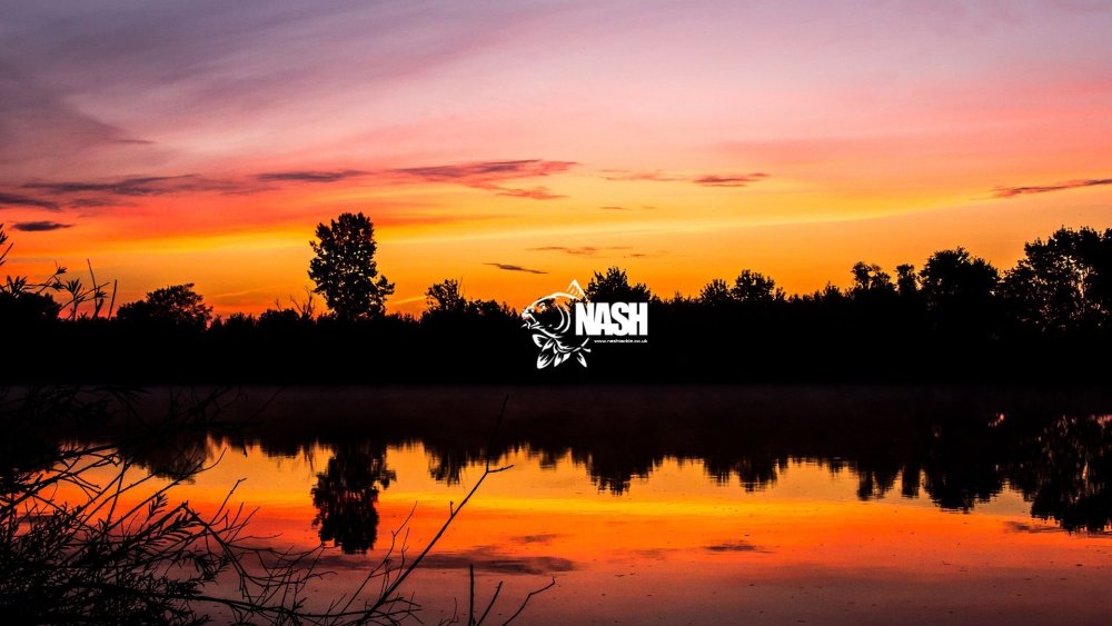 Обои карпфишинг