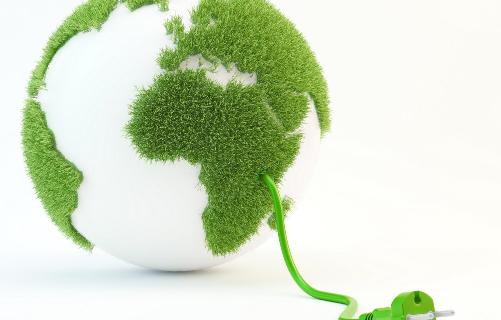 Экология на белом фоне