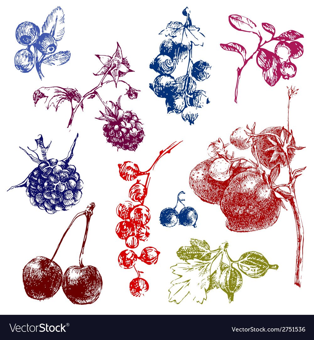 Стилизованные ягоды ягоды