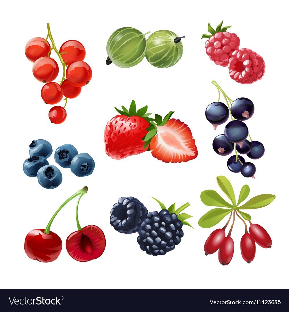 Ягоды Векторная Графика