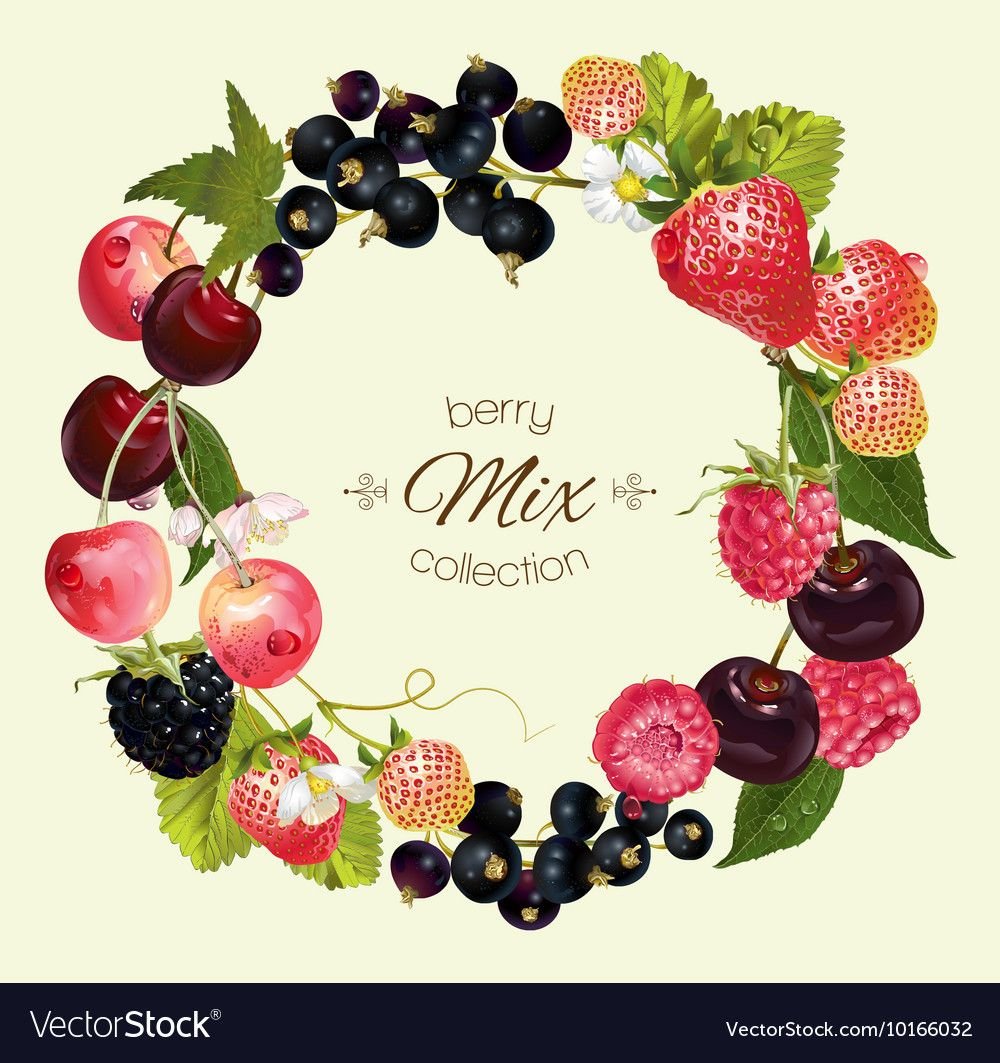 Круглая рамка фрукты ягоды