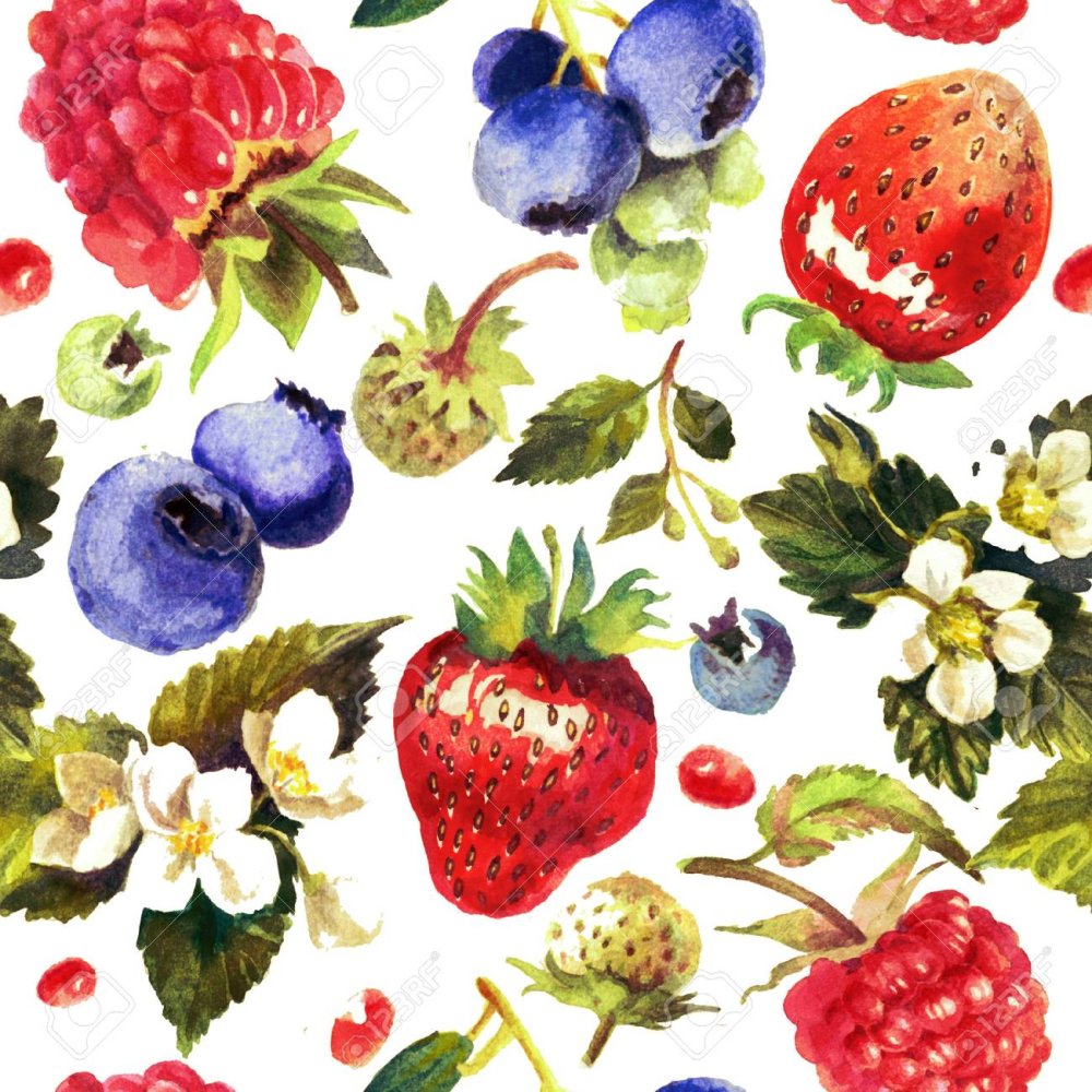 Акварельные ягоды на белом фоне