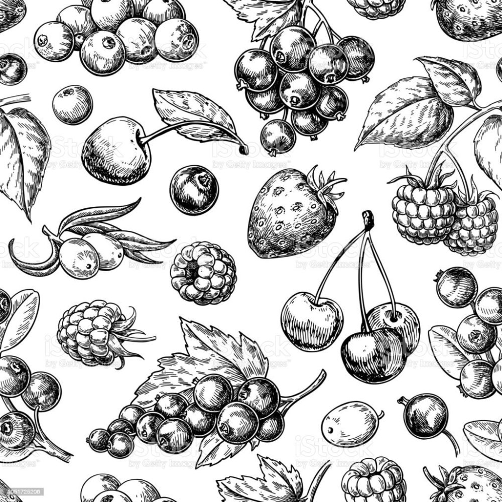 Ягоды скетч