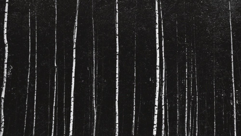 Черные помехи