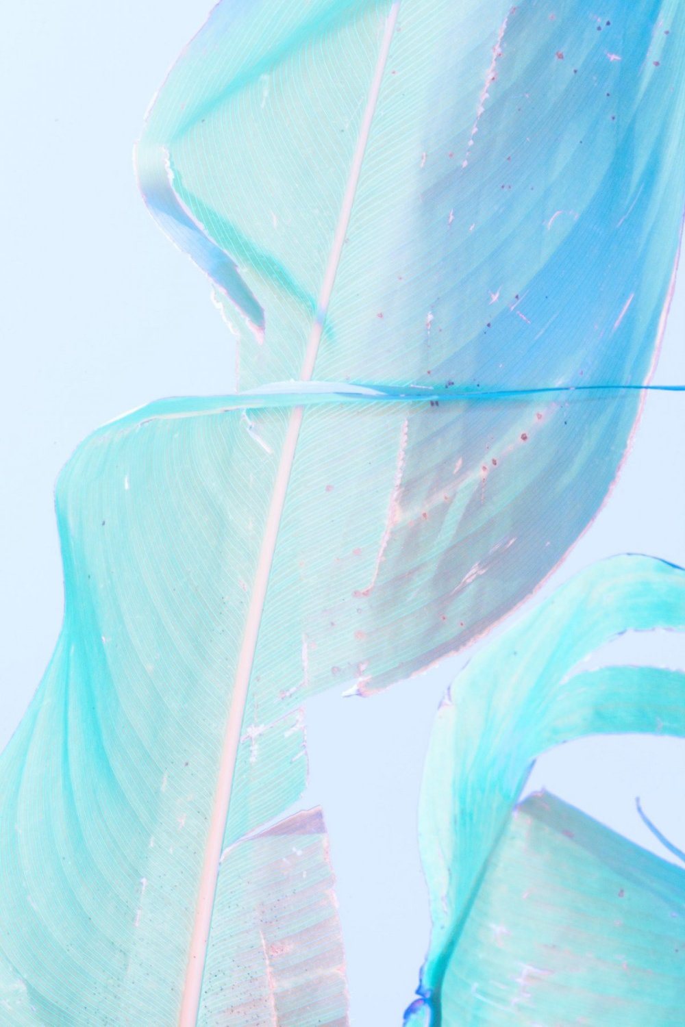 Голубая Эстетика Пинтерест