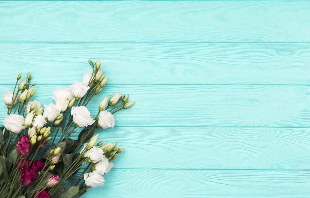 Цветы на бирюзовом фоне